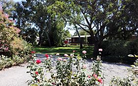 Tanunda Cottages